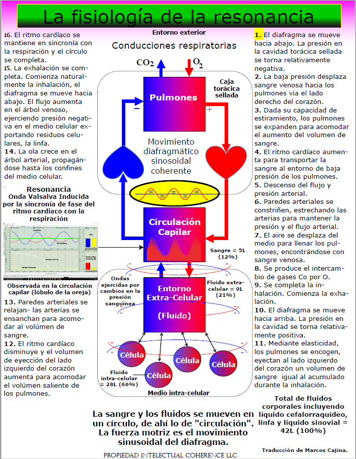 La fisiologia de la resonancia