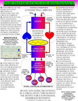 The Physiology Of Resonance by COHERENCE